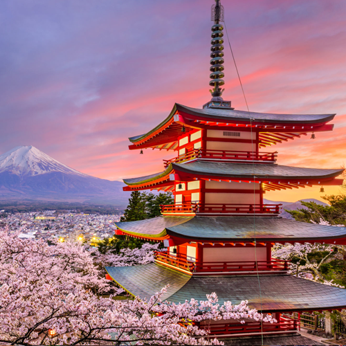 Japan Tour